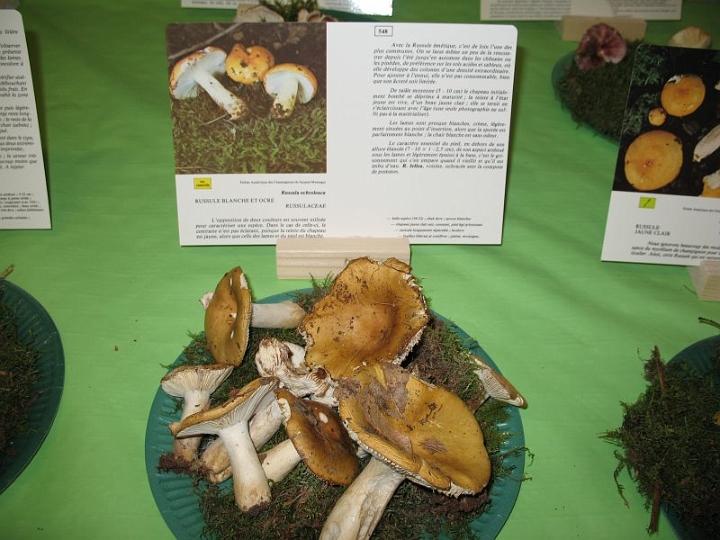 2008 10 Expo Bergerie Rambouillet 47